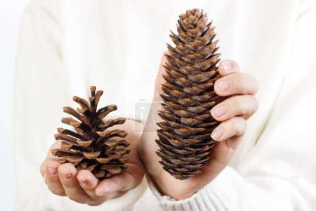 Photo for Girl holding pine cones. Woman hand holding pine cone. - Royalty Free Image