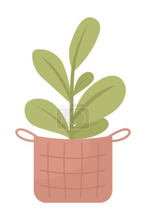 Illustration for Houseplant in wicker basket semi flat color vector object. Editable elements. Full sized items on white. Home decor simple cartoon style illustration for web graphic design and animation - Royalty Free Image