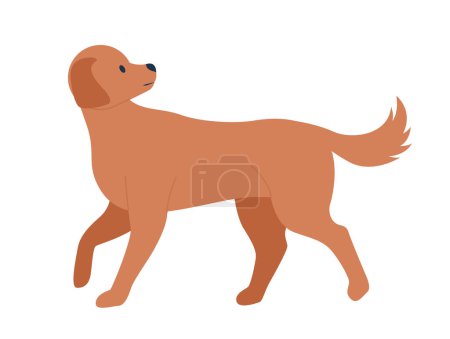 Illustration for Mongrel dog walking and looking back semi flat color vector character. Mixed breed animal. Editable full body animal on white. Simple cartoon style illustration for web graphic design and animation - Royalty Free Image