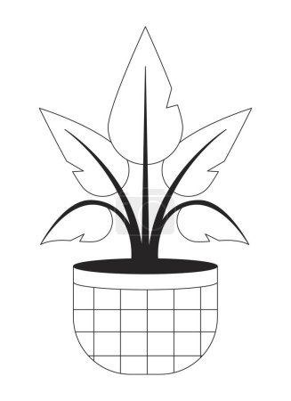 Illustration for Houseplant in checkered pot flat monochrome isolated vector object. Interior house plant. Editable black and white line art drawing. Simple outline spot illustration for web graphic design - Royalty Free Image