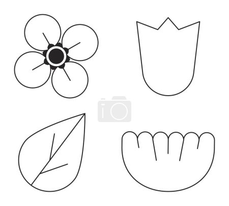 Illustration for Motif floral botanical flat monochrome isolated vector objects set. Flower heads. Editable black and white line art drawings. Simple outline spot illustrations collection for web graphic design - Royalty Free Image