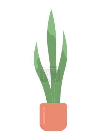 Illustration for Decorative snake plant in pot semi flat colour vector object. Long leaves. Editable cartoon clip art icon on white background. Simple spot illustration for web graphic design - Royalty Free Image