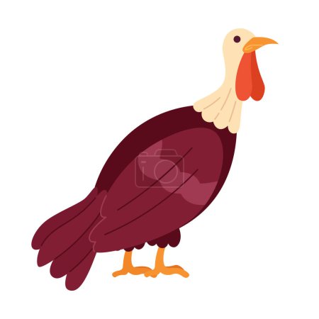Illustration for Domestic turkey bird 2D cartoon character. Poultry farming isolated vector animal white background. Wild gobbler thanksgiving. November autumnal countryside bird color flat spot illustration - Royalty Free Image