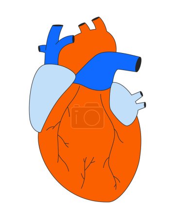 Human heart transplantation 2D linear cartoon object. Artificial organ isolated line vector element white background. Anatomy body part. Cardiology love. Internal organ color flat spot illustration
