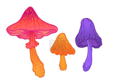 Illustration for Magic mushrooms set. Psychedelic hallucination. Vibrant vector illustration collection isolated on white. 60s hippie colorful art in vivid acid colors. Sticker, patch, poster graphic design. - Royalty Free Image