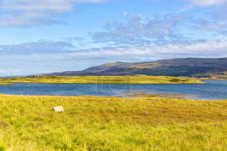 Téléchargez les photos : Breathtaking scenery as you travel the streets of the Isle of Skye, Scotland - en image libre de droit
