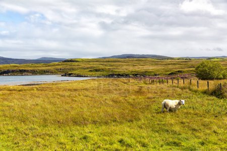 Foto de Breathtaking scenery as you travel the streets of the Isle of Skye, Scotland - Imagen libre de derechos