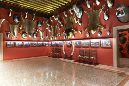 Foto de VENECIA, ITALIA 2023 21 de febrero: Interior del Museo de Historia Natural de Venecia Giancarlo Ligabue, Italia - Imagen libre de derechos
