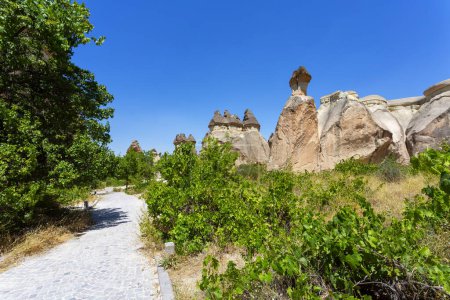 Pasabag, sus famosas chimeneas de hadas en Goreme Valley, Capadocia, Turquía