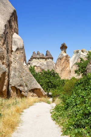 Pasabag, seine berühmten Feenschornsteine im Goreme-Tal, Kappadokien, Türkei