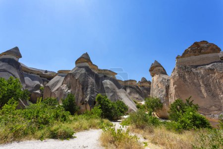 Pasabag, seine berühmten Feenschornsteine im Goreme-Tal, Kappadokien, Türkei