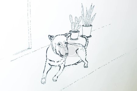 a dog at home in drawing or art or cartoon or line
