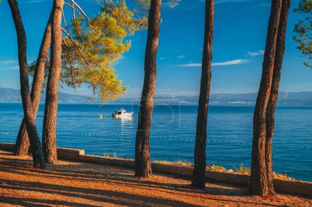 Téléchargez les photos : Mer pittoresque Côte Adriatique de Croatie. Vue sur le cap Jadran. Mer Méditerranée turquoise et rivage rocheux avec des conifères à feuilles persistantes. Beaux nuages dans le ciel bleu. Merveilleux paysage d'été - en image libre de droit