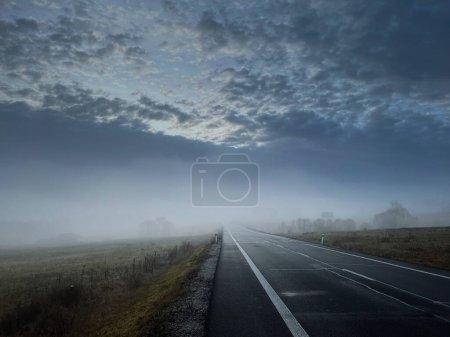 Téléchargez les photos : Misty cold road in blue winter morning - en image libre de droit