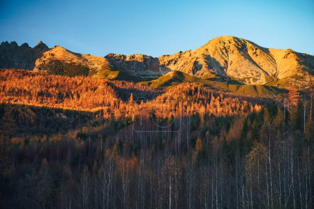 Téléchargez les photos : The Gerlach peak towers above an autumn landscape in the High Tatras, a stunning display of nature's beauty - en image libre de droit