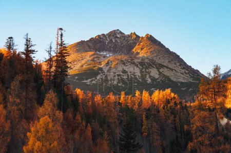 Téléchargez les photos : The Gerlach peak stands tall and proud in the High Tatras, surrounded by the vibrant colors of autumn - en image libre de droit