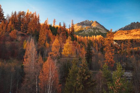 Téléchargez les photos : A panoramic view of the High Tatras in autumn, with the Gerlach peak as the focal point of a breathtaking landscape - en image libre de droit
