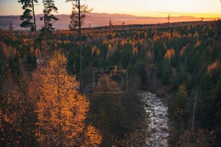 Téléchargez les photos : Walking through the High Tatras in autumn is a dream, the Gerlach peak looming in the distance among the changing leaves - en image libre de droit