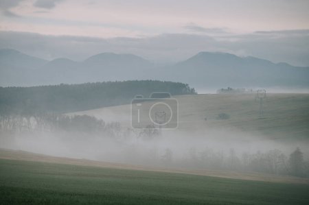 Photo for The misty autumn meadow is a symphony of colors and textures, with the soft mist adding a touch of mysticism to the scene. - Royalty Free Image