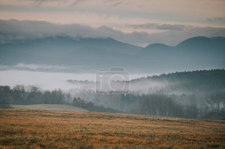 Photo for The autumn meadow is a sight to behold, as the mist rolls in to cloak the landscape in a soft and ethereal glow. The vibrant colors of the trees and grasses are made even more striking by the mist, - Royalty Free Image