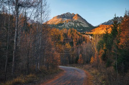 Téléchargez les photos : Golden hues of autumn foliage contrast against the majestic Gerlach peak in the High Tatras. A peaceful and serene scene - en image libre de droit