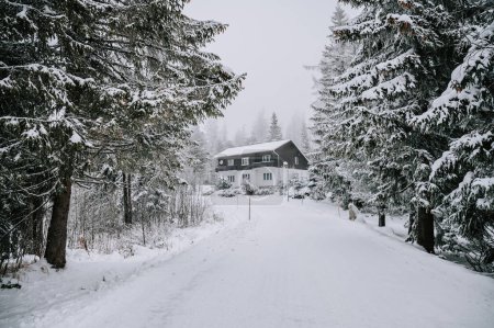 Téléchargez les photos : Cozy wooden cabin nestled in a winter wonderland of fresh snow, surrounded by towering pine trees in a secluded mountain setting. The perfect escape from the hustle and bustle of city life - en image libre de droit