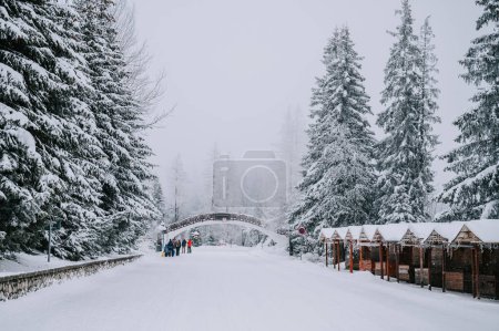 Téléchargez les photos : A winter wonderland awaits in the High Tatras, with snow-covered peaks and frozen lakes creating a magical landscape. - en image libre de droit