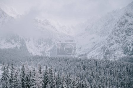 Foto de Snow-Capped Peaks of the High Tatras - Imagen libre de derechos