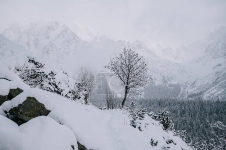 Téléchargez les photos : Escape to the High Tatras for a winter adventure, surrounded by snow-covered peaks and frozen lakes creating a winter wonderland. - en image libre de droit