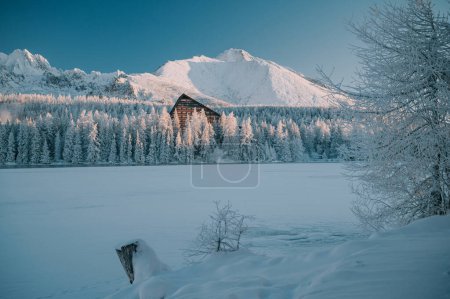 Téléchargez les photos : The serenity of Strbske Pleso lake amidst the High Tatras mountains, as the sun rises on a chilly winter morning - en image libre de droit