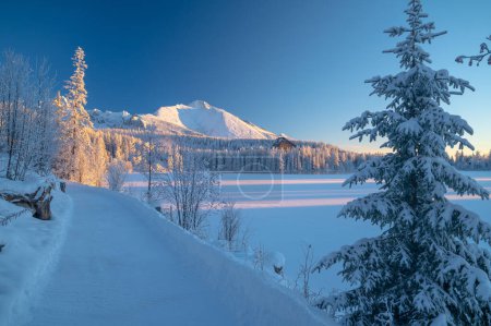 Téléchargez les photos : The crisp, clear winter morning at Strbske Pleso, with the High Tatras looming above the frozen lake - en image libre de droit