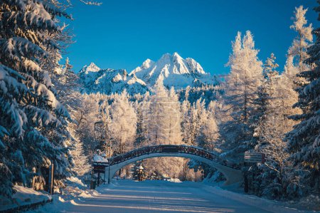 Photo for The serene beauty of a winter morning at Strbske Pleso, with the High Tatras towering in the background - Royalty Free Image