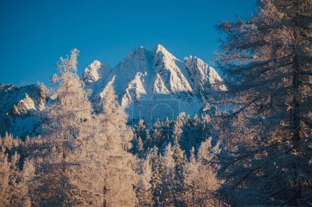 Téléchargez les photos : Awe-Inspiring View of Snowy Mountain Peaks in Winter - en image libre de droit