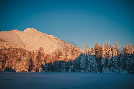 Téléchargez les photos : The serene beauty of a winter morning in the High Tatras, seen from Strbske pleso lake - en image libre de droit