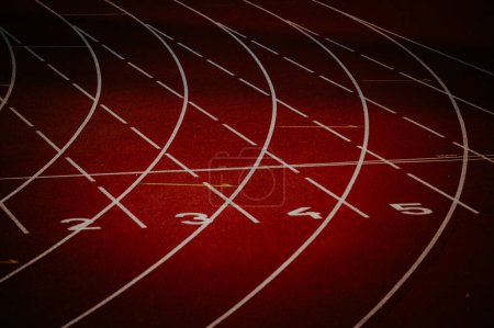 Photo for Track and Field Wallpaper. The Intersection of White Lines and Numbers on a Striking Red Track - Royalty Free Image