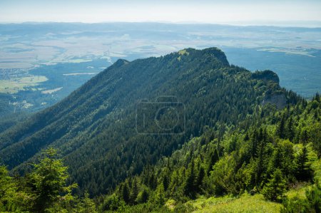 Téléchargez les photos : High Tatras Nature : Capturez le contraste à couper le souffle des forêts de pins verdoyants dans le contexte accidenté des High Tatras, une symphonie de vert sous les sommets imposants - en image libre de droit