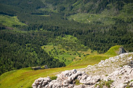 Foto de High Tatras Beauty: Explorando la belleza prístina de la cresta herbosa de los Belianske Tatras, con un encantador valle de exuberantes bosques que se extienden debajo - Imagen libre de derechos