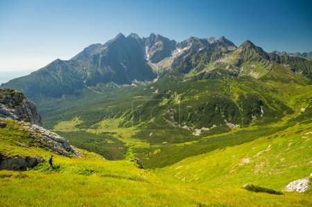 Photo for Alpine panorama capturing the High Tatras as seen from the Belianske Tatras, with the landscape adorned in rich green hues and a cloudless sky - Royalty Free Image