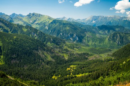 Téléchargez les photos : Haute Tatras Beauté : Une vue captivante depuis la crête verdoyante et luxuriante des Tatras Belianske, surplombant une vallée remplie de forêts denses et de verdure vibrante. - en image libre de droit