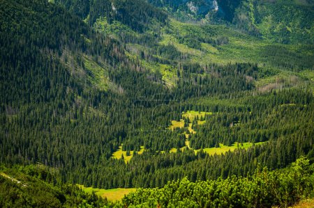 Téléchargez les photos : Un aperçu de la beauté intacte de la crête herbeuse des Belianske Tatras, où les nations se rencontrent dans un royaume de paysages de montagne à couper le souffle. - en image libre de droit