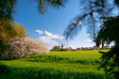 Foto de Campos de verde: Vistas idílicas del campo de primavera - Imagen libre de derechos