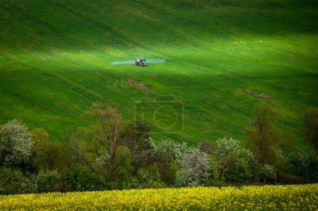 Foto de Lienzo de la naturaleza: Tractor de arte en una lona verde de primavera - Imagen libre de derechos
