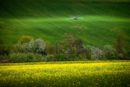 Photo for Green Pastures in Bloom: Tractor on a Springtime Stroll - Royalty Free Image