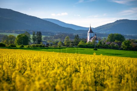 Téléchargez les photos : Embrassez le printemps : une église pittoresque au milieu de champs jaunes florissants Paysage agricole rural - en image libre de droit
