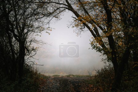 Téléchargez les photos : Matin d'automne brumeux mélancolique, avec des couleurs marron et gris. humeur d'automne dépressive, éditer l'espace - en image libre de droit