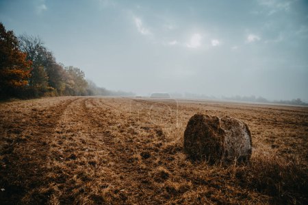 Foto de Una paca de paja en un campo lluvioso de otoño. La foto del humor melancólico otoñal - Imagen libre de derechos