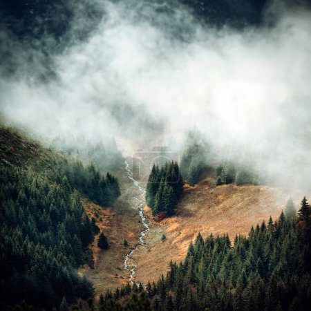 Photo for Mist over autumn Carpathian forest. River, trees and grey autumn after winter. Melancholic mood. Square format, edit space for your montage - Royalty Free Image