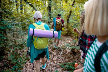 Téléchargez les photos : Dos de gens marchant dans la forêt. Groupe de personnes en randonnée ou trekking dans un sentier forestier verdoyant. Espace de copie - en image libre de droit