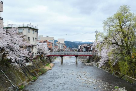 Photo for Ikada bridge that cross the Miyagawa River in april during sakura blossom, in Takayama, Hida, Gifu, Japan. April, 2023. - Royalty Free Image