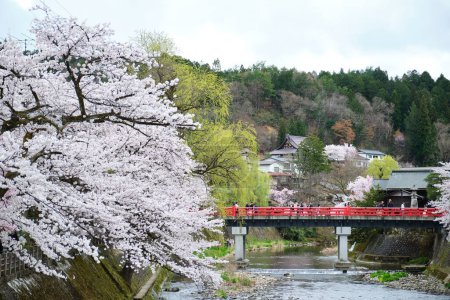 Photo for Sakura blossom at Nakabashi bridge that cross the Miyagawa River in april, in Takayama, Hida, Gifu, Japan. April, 2023. - Royalty Free Image